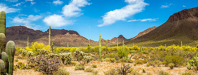 Arizona Desert, adapted from gsa.gov image