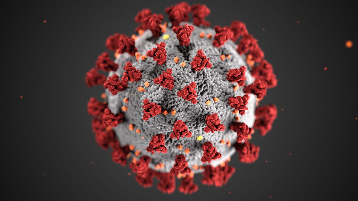 Covid-19 Coronavirus file image, adapted from image at cdc.org