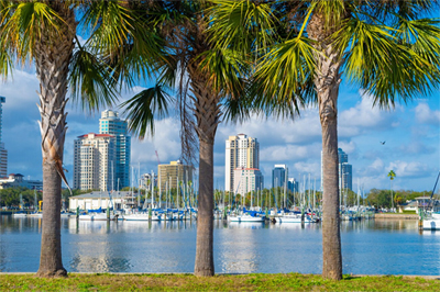 File Photo of Florida City Skyline, Palm Trees, Marina, Water, adapted from image at census.gov