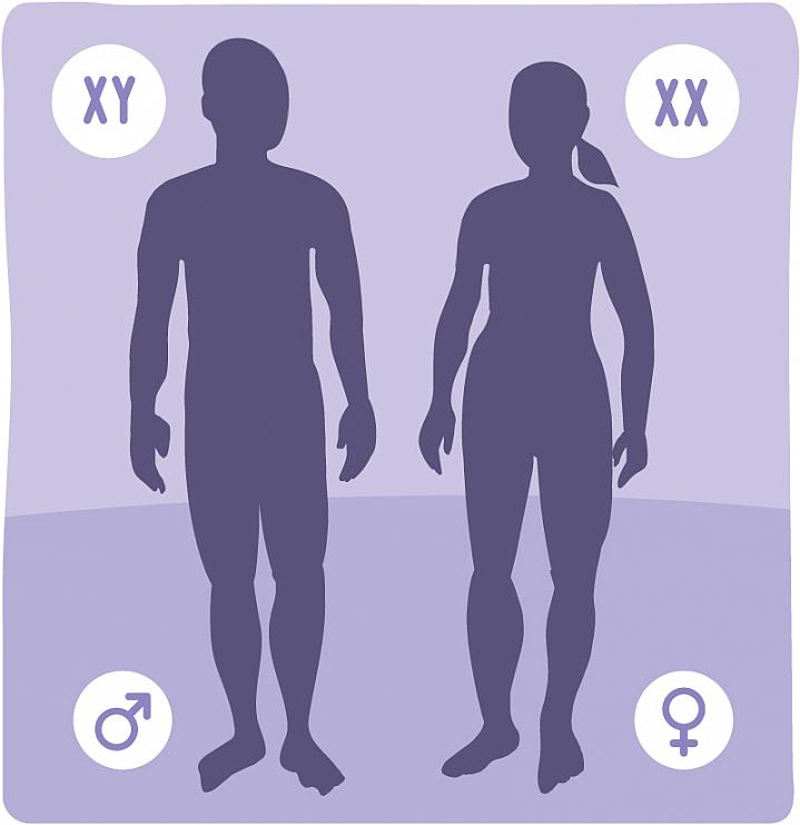 Silhouettes if Man and Woman, XY, XX, Symbols for Male and Female, adapted from image at nih.gov